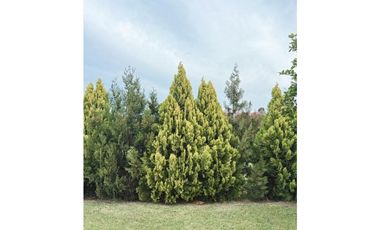 Venta casa 3 dormitorios  cochera doblle y pileta Santa Candida