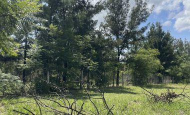 Hermoso terreno en Huayapam