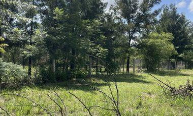 Hermoso terreno en Huayapam