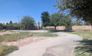 TERRENO EN VENTA EN ALTOZANO EN GOMEZ PALACIO