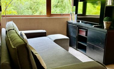 LINDO Y AMPLIO DEPARTAMENTO ORILLA DE LAGO VILLARRICA