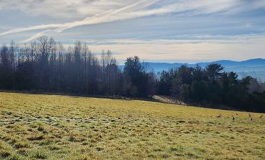 PARCELA VILLARRICA A 13KM DEL CENTRO