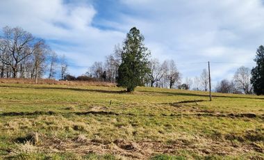 PARCELA VILLARRICA A 13KM DEL CENTRO