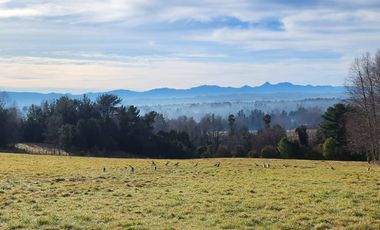 PARCELA VILLARRICA A 13KM DEL CENTRO