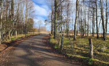 PARCELA VILLARRICA A 13KM DEL CENTRO