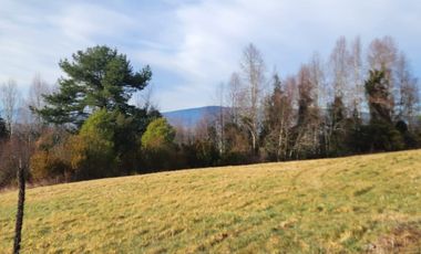 PARCELA VILLARRICA A 13KM DEL CENTRO