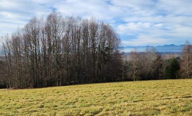 PARCELA VILLARRICA A 13KM DEL CENTRO