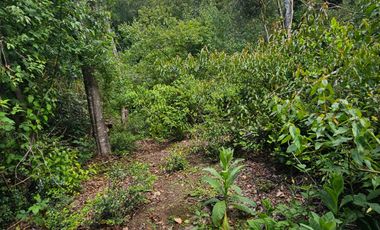 PARCELA ENTRE VILLARRICA Y PUCON, SECTOR HUINCACARA