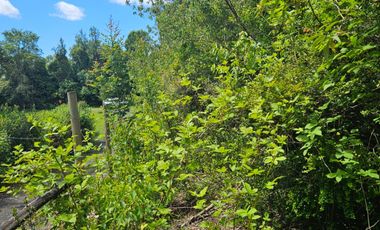 PARCELA ENTRE VILLARRICA Y PUCON, SECTOR HUINCACARA