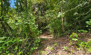 PARCELA ENTRE VILLARRICA Y PUCON, SECTOR HUINCACARA
