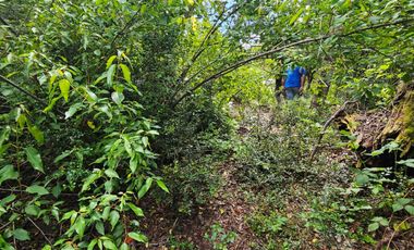 PARCELA ENTRE VILLARRICA Y PUCON, SECTOR HUINCACARA