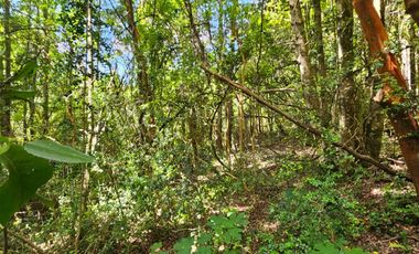 PARCELA ENTRE VILLARRICA Y PUCON, SECTOR HUINCACARA