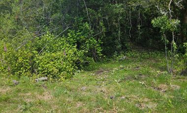 PARCELA ENTRE VILLARRICA Y PUCON, SECTOR HUINCACARA