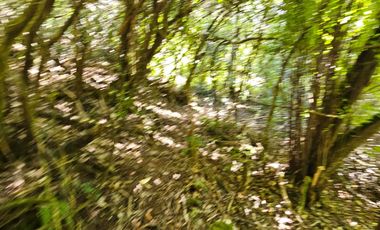 PARCELA ENTRE VILLARRICA Y PUCON, SECTOR HUINCACARA