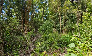 PARCELA ENTRE VILLARRICA Y PUCON, SECTOR HUINCACARA