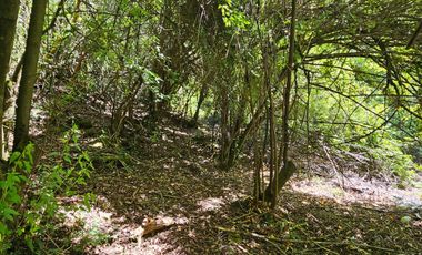 PARCELA ENTRE VILLARRICA Y PUCON, SECTOR HUINCACARA