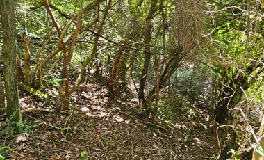 PARCELA ENTRE VILLARRICA Y PUCON, SECTOR HUINCACARA