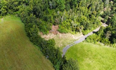 PARCELA ENTRE VILLARRICA Y PUCON, SECTOR HUINCACARA