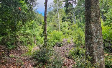 PARCELA ENTRE VILLARRICA Y PUCON, SECTOR HUINCACARA