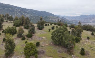 PARCELAS A 5 MINUTOS DE LOLOL HERMOSA VISTA