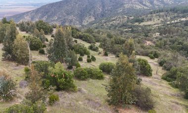 PARCELAS A 5 MINUTOS DE LOLOL HERMOSA VISTA