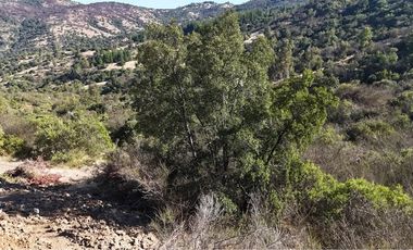 PARCELAS A 5 MINUTOS DE LOLOL HERMOSA VISTA