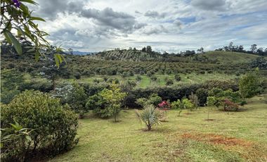 Casa campestre vía san Antonio la ceja