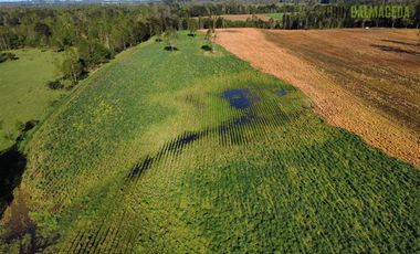 Agrícola en Venta en A menos de 2 km de Cañitas