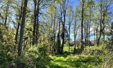Agrícola en Venta en A menos de 2 km de Cañitas