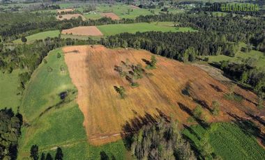 Agrícola en Venta en A menos de 2 km de Cañitas