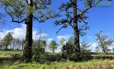 Agrícola en Venta en A menos de 2 km de Cañitas
