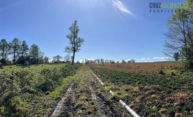 Agrícola en Venta en A menos de 2 km de Cañitas