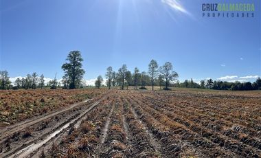 Agrícola en Venta en A menos de 2 km de Cañitas
