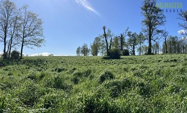 Agrícola en Venta en A menos de 2 km de Cañitas