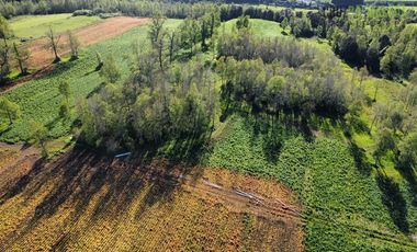 Agrícola en Venta en A menos de 2 km de Cañitas