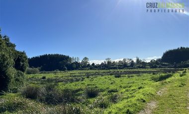 Agrícola en Venta en A menos de 2 km de Cañitas