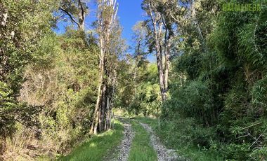 Agrícola en Venta en A menos de 2 km de Cañitas