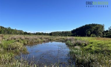 Agrícola en Venta en A menos de 2 km de Cañitas