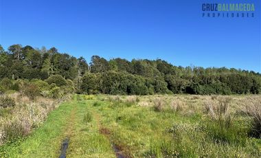 Agrícola en Venta en A menos de 2 km de Cañitas