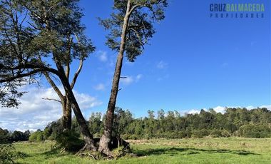 Agrícola en Venta en A menos de 2 km de Cañitas