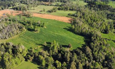 Agrícola en Venta en A menos de 2 km de Cañitas