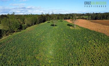Agrícola en Venta en A menos de 2 km de Cañitas
