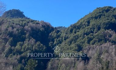 Su refugio en Liquiñe en plena cordillera