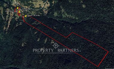 Su refugio en Liquiñe en plena cordillera