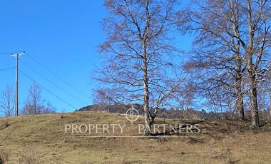 Su refugio en Liquiñe en plena cordillera