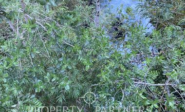 Su refugio en Liquiñe en plena cordillera