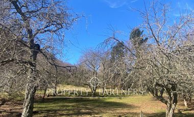 Su refugio en Liquiñe en plena cordillera