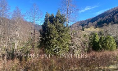 Su refugio en Liquiñe en plena cordillera