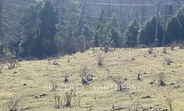 Su refugio en Liquiñe en plena cordillera