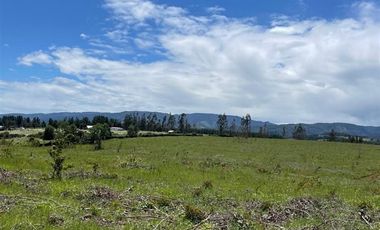 Agrícola en Venta en COD39264 A 5 minutos de Temuco Camino Temuco a Cholchol